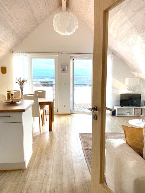 Moderne Einbauküche mit Geschirrspüler in der Ferienwohnung Panoramablick